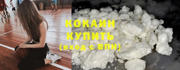 сатива Горняк