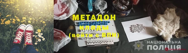 сатива Горняк