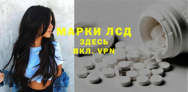 сатива Горняк