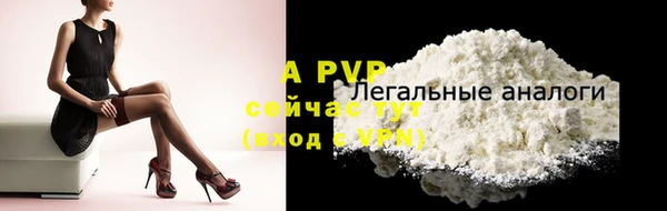 винт Горно-Алтайск