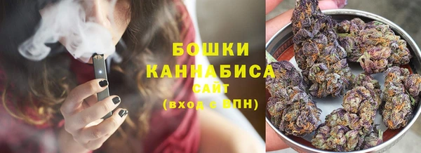 винт Горно-Алтайск