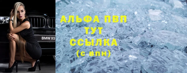 сатива Горняк