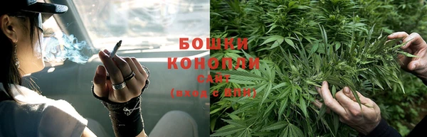 винт Горно-Алтайск
