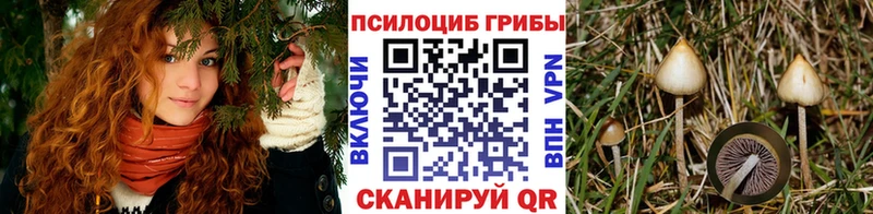 купить закладку Магнитогорск Галлюциногенные грибы ЛСД